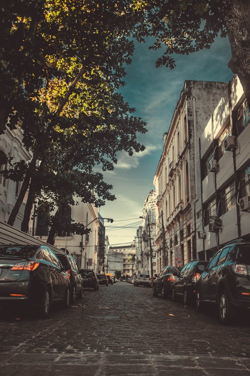 Foto Von Fahrzeugen, Die In Der Nähe Von Gebäuden Und Bäumen Geparkt Sind