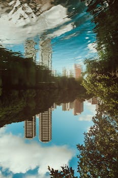 巴西城市中建筑与树木的倒影，展现了自然与城市的和谐