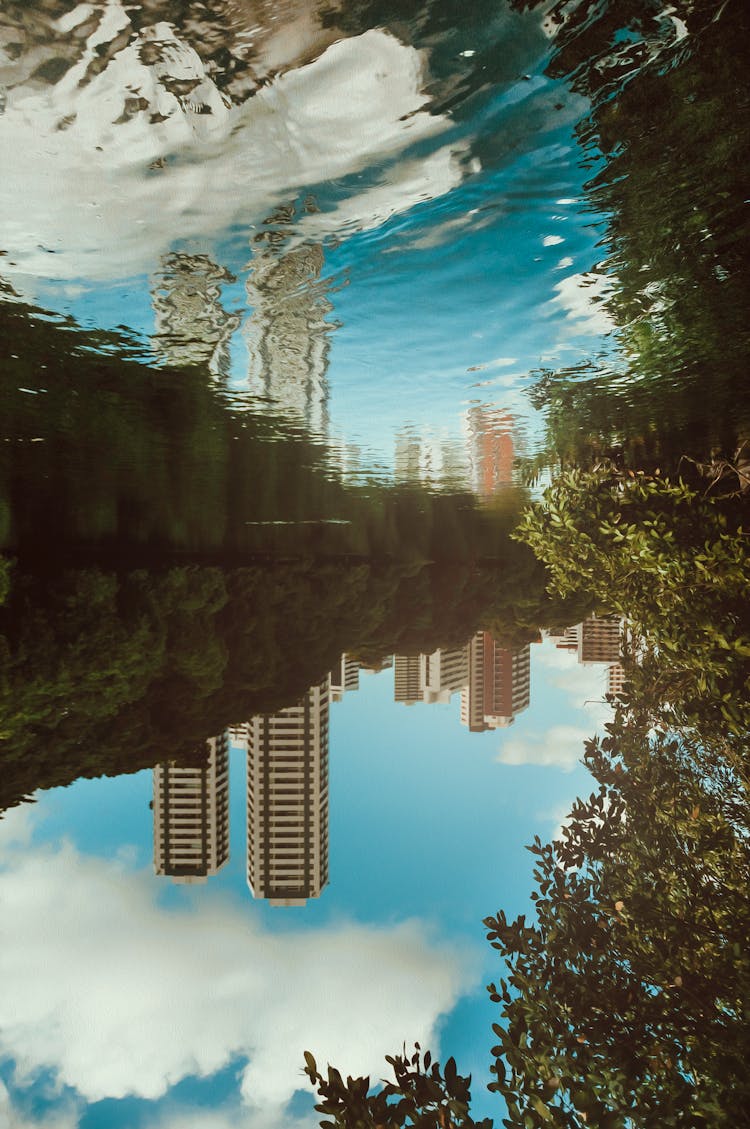 Reflection Photo Of River Near Trees