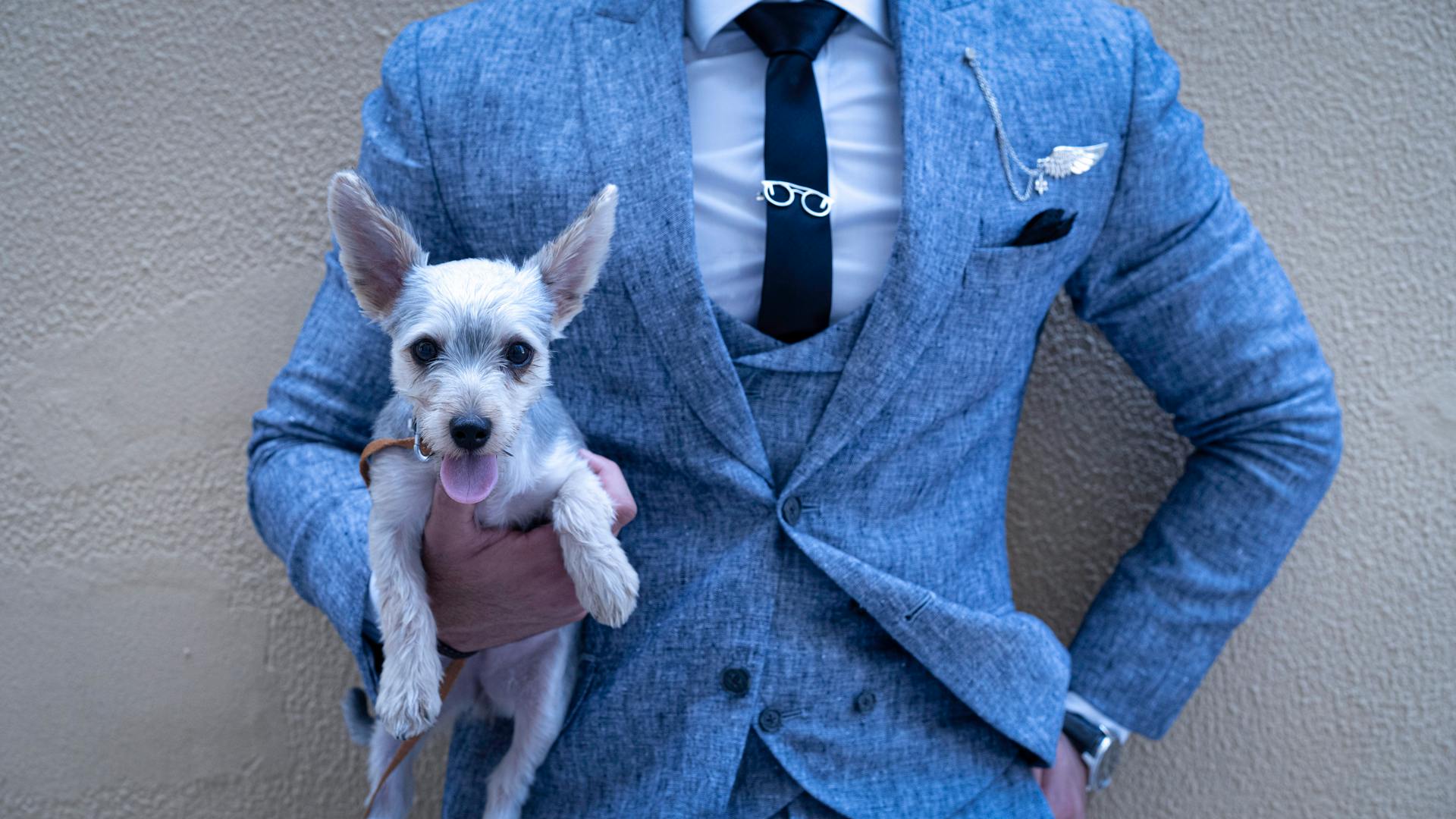 Photo of Person Holding Puppy