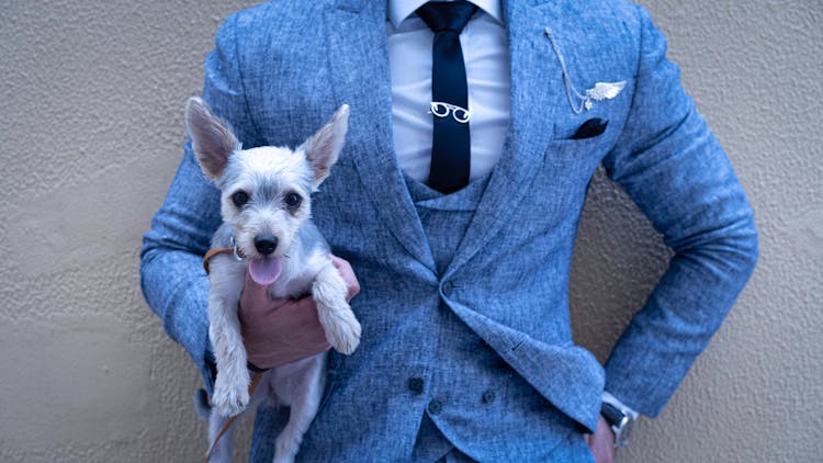 Photo Of Person Holding Puppy