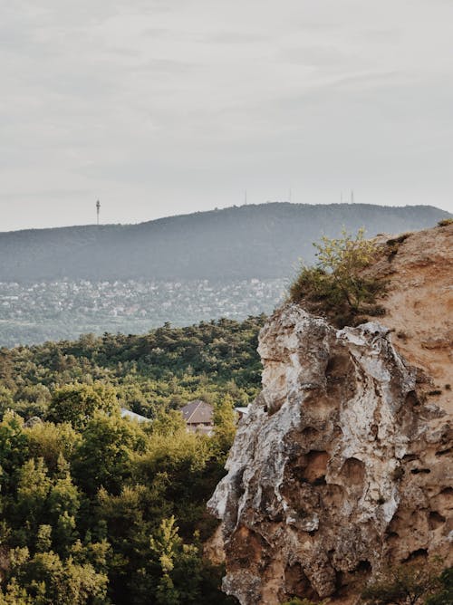 Free Photo of Cliff Overlooking Forest Stock Photo
