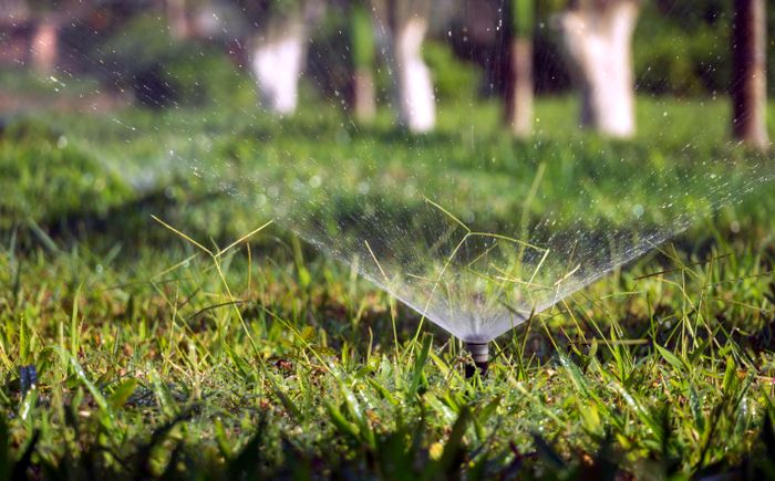 Garden sprinkler watering a lush green lawn