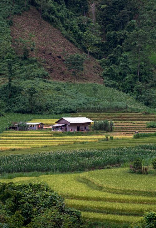 Free A picturesque rural farm surrounded by lush greenery and rolling hills, perfect for a serene escape. Stock Photo