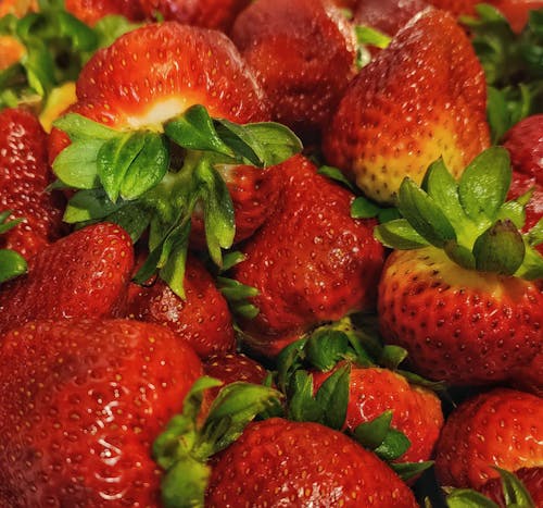 Foto profissional grátis de bowl de frutas, frutas vermelhas, jardim