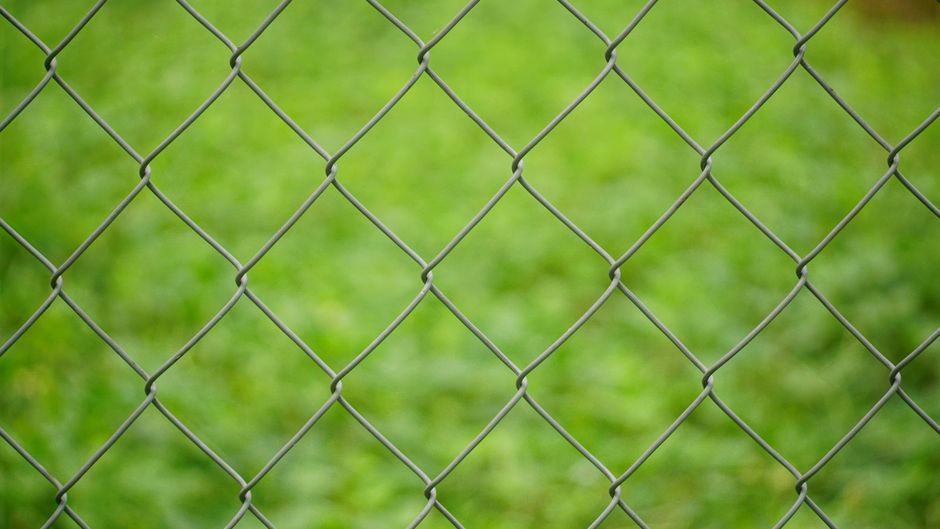 A close-up view of a metal chain link fence against a blurred green background.