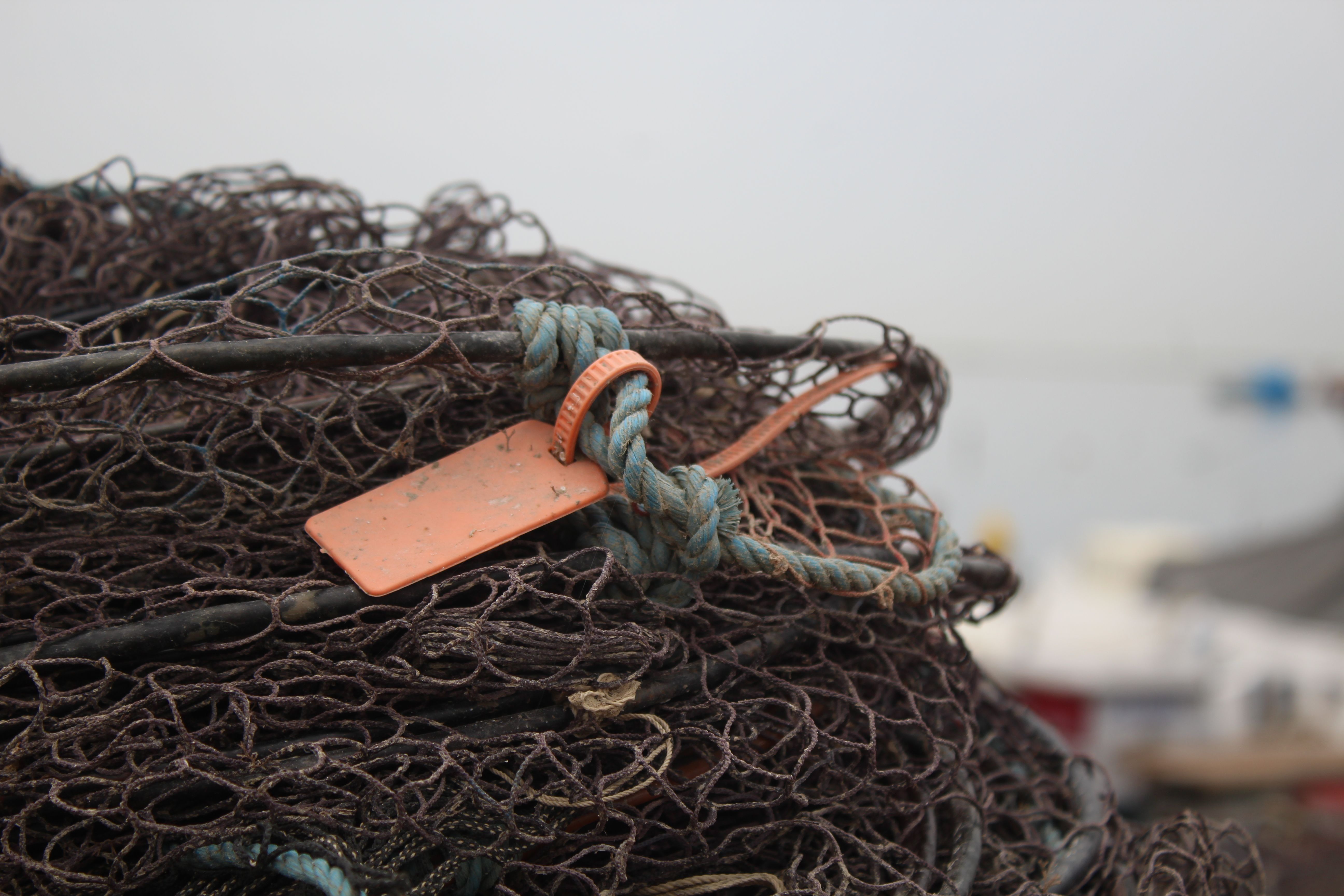 Close-up of a Fish Net · Free Stock Photo