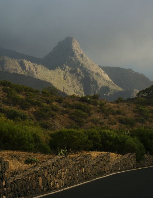 Free A winding road leading to a misty mountain, surrounded by lush greenery. Stock Photo