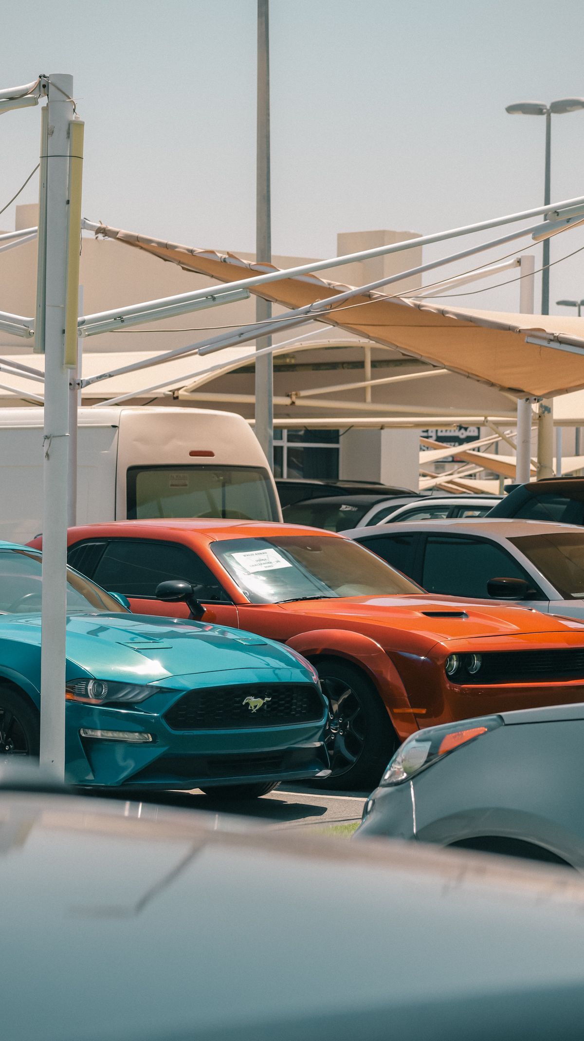 Auto Dealers