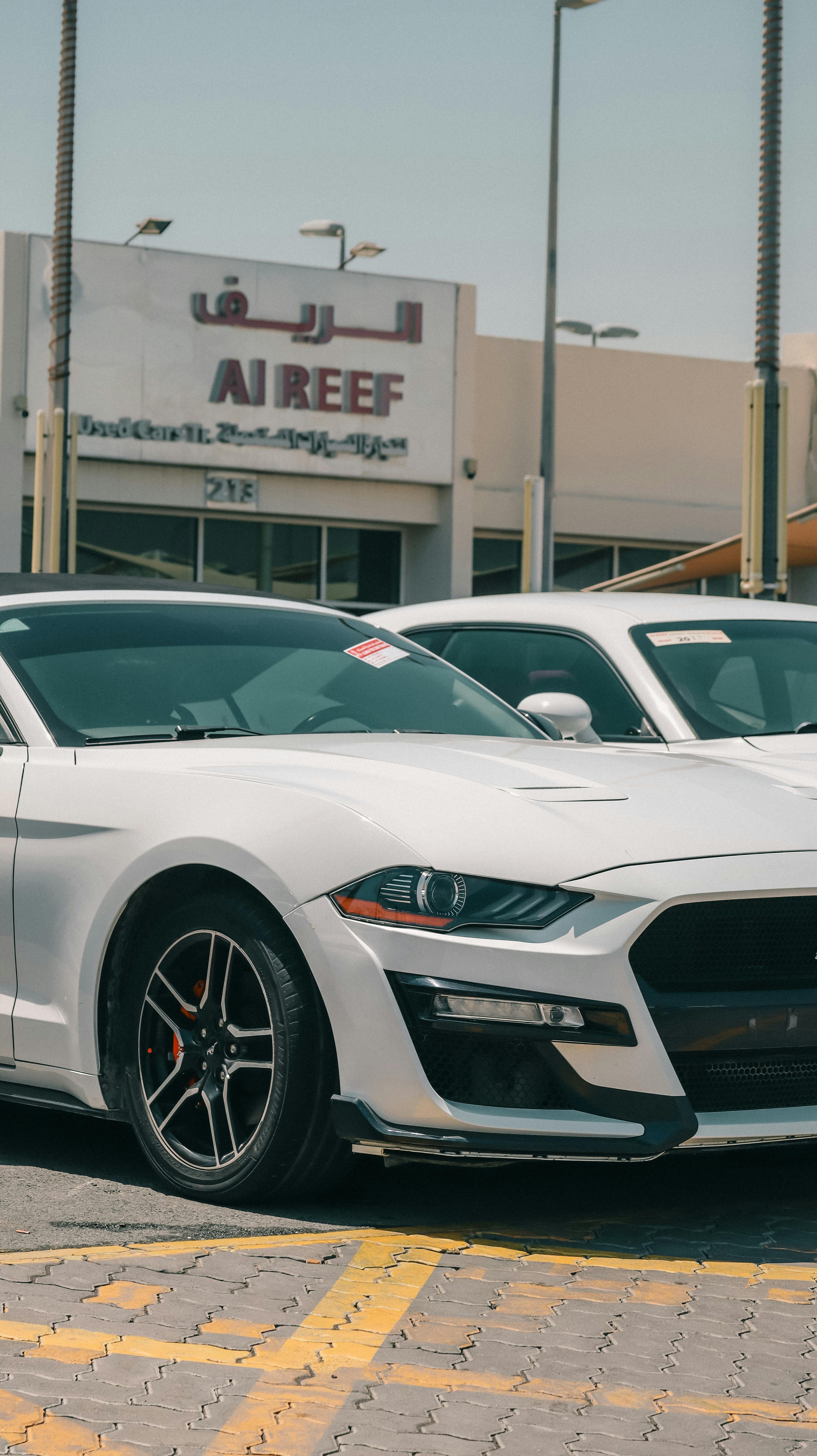 A white muscle car parked outdoors at a car dealership under a clear sky.