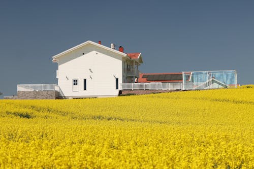 Darmowe zdjęcie z galerii z 2024, architektura, arktyczny