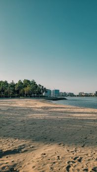 A serene beach with palm trees and a city skyline under a clear blue sky.