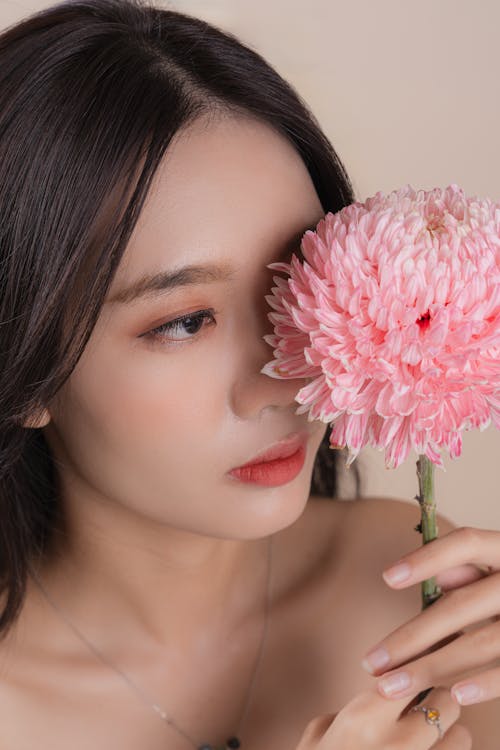 Foto profissional grátis de bonita, crisântemo, flor cor-de-rosa