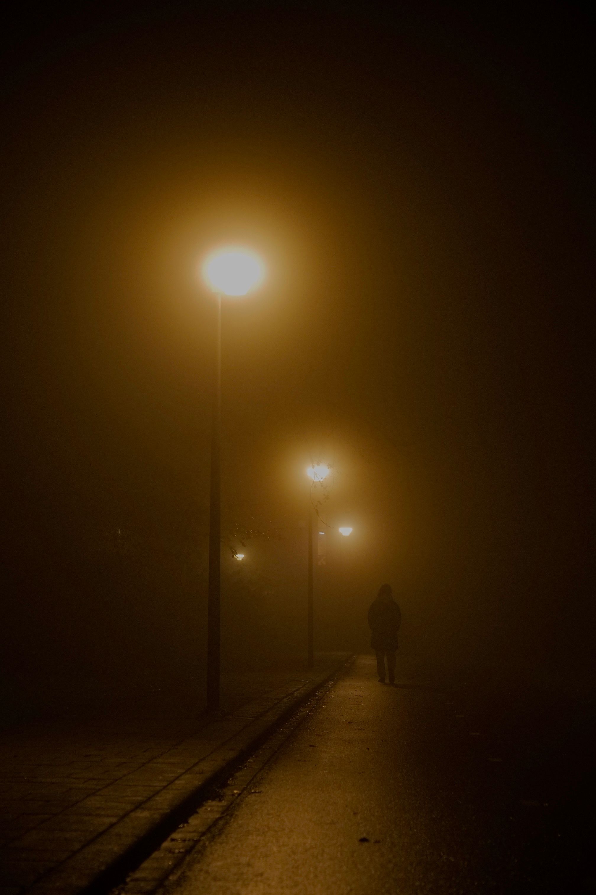 Andando Sob As Luzes Da Rua Enevoadas · Foto profissional gratuita
