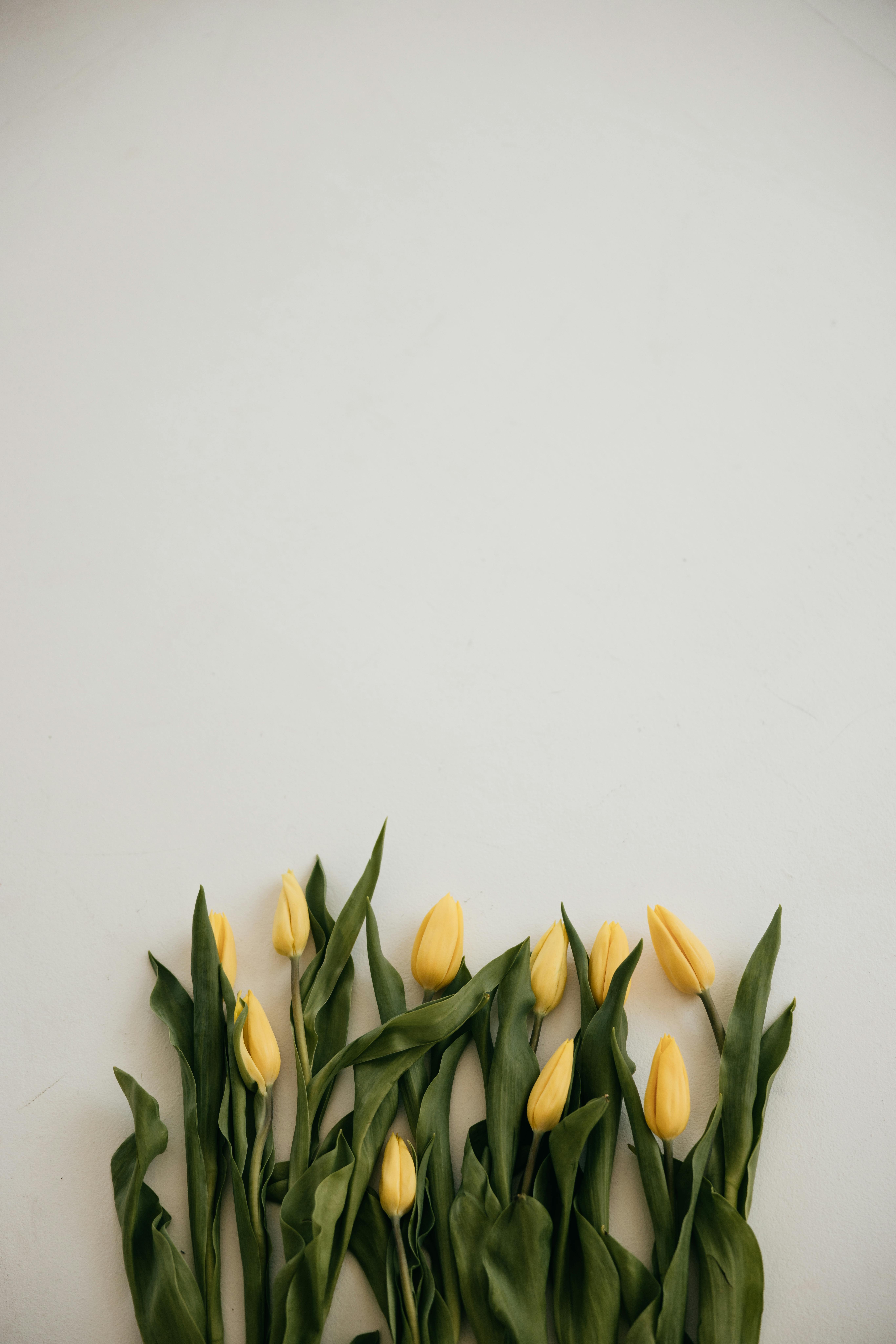 免費 中性的背景, 冷靜, 垂直構圖 的 免費圖庫相片 圖庫相片