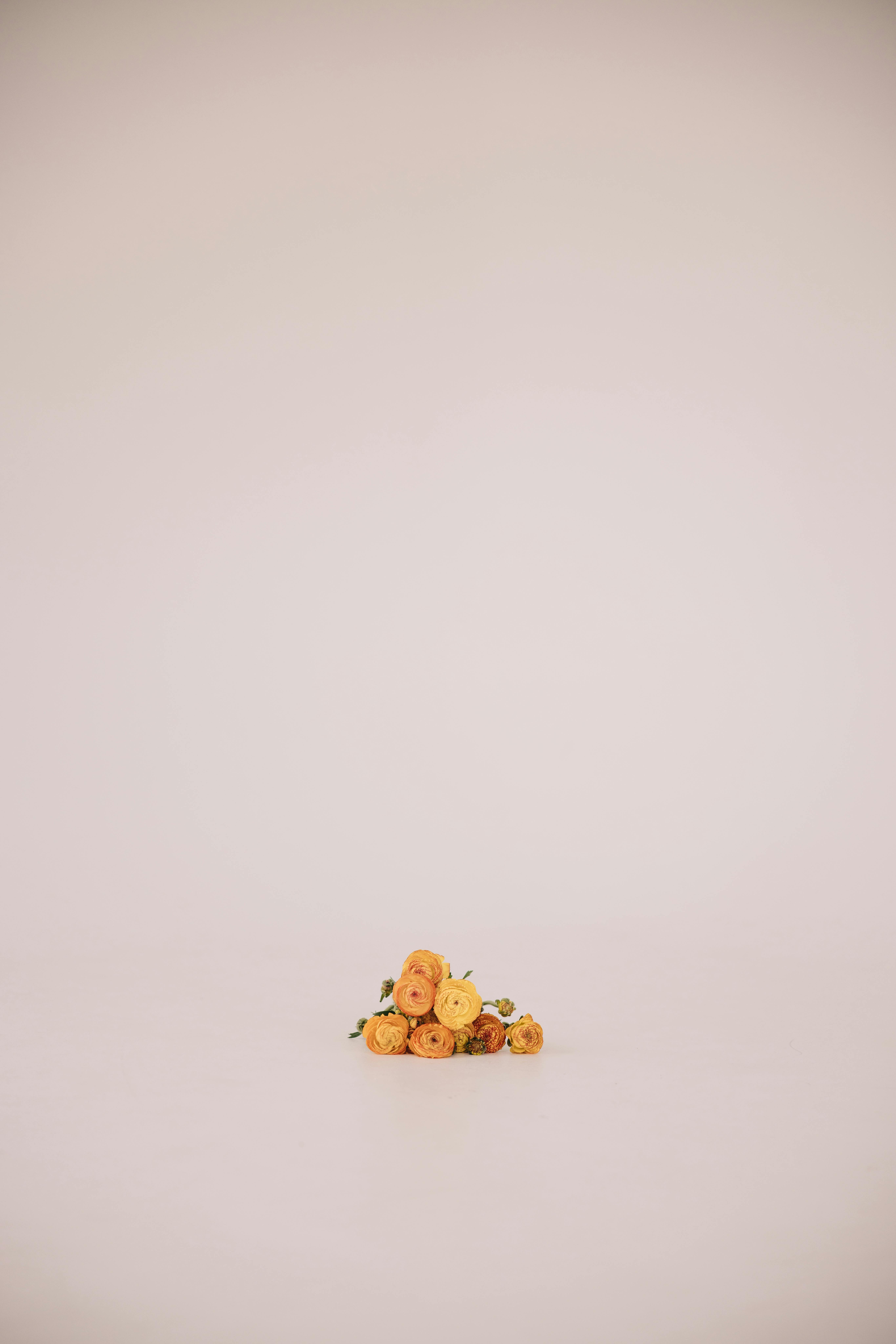 免費 中性色調, 優雅, 內部 的 免費圖庫相片 圖庫相片