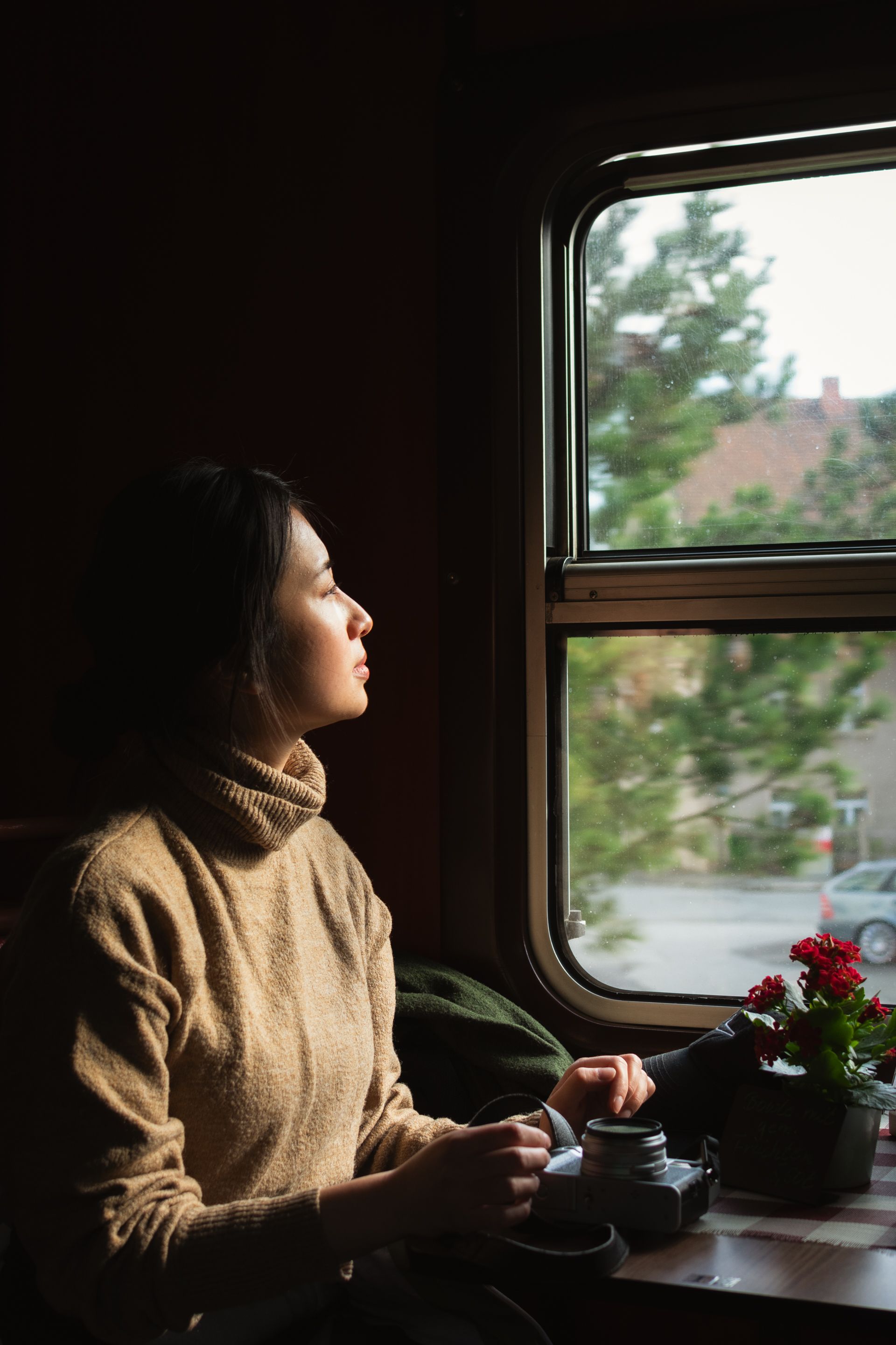 A Woman Sitting by the Window on a Train · Free Stock Photo