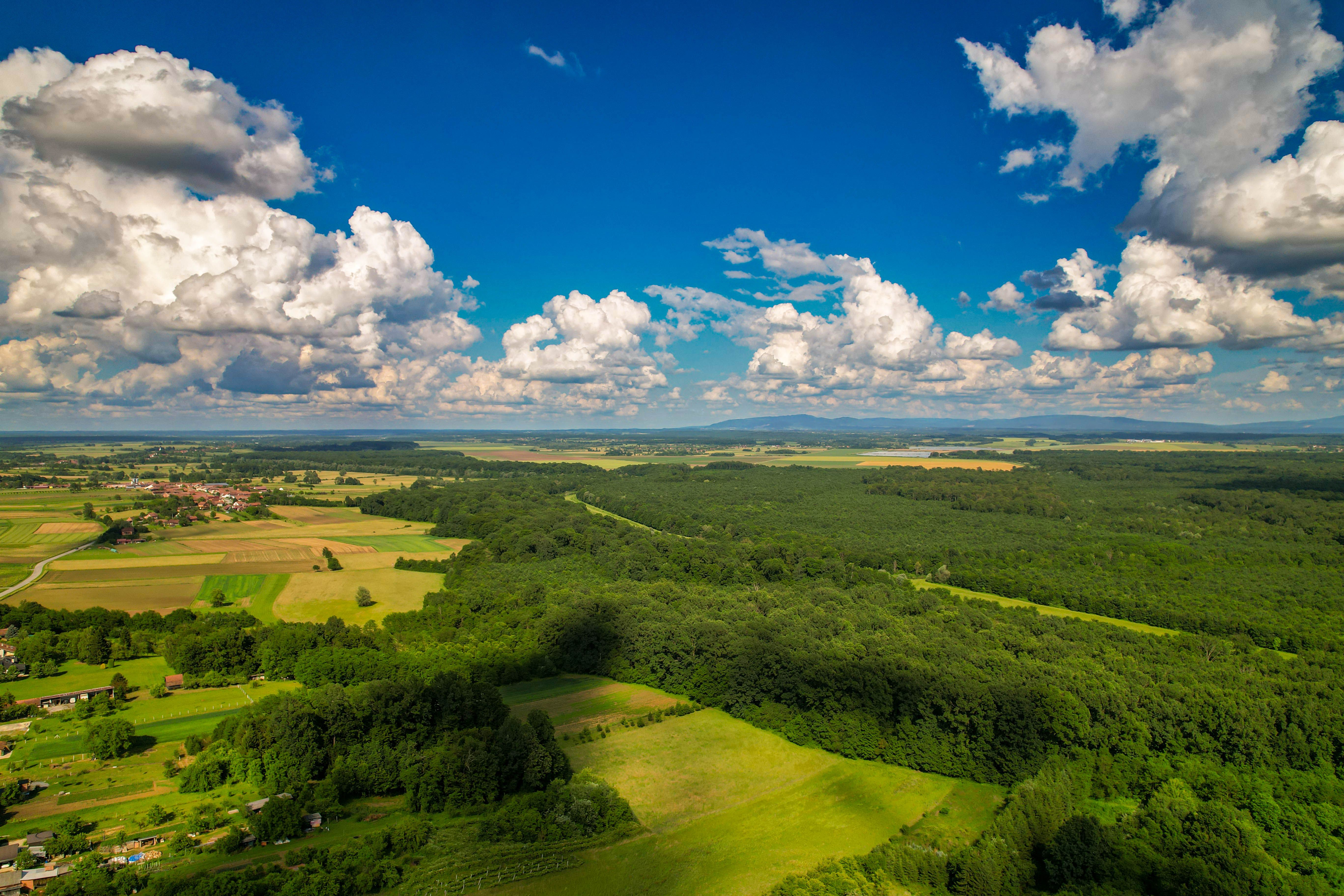 Środowisko naturalne