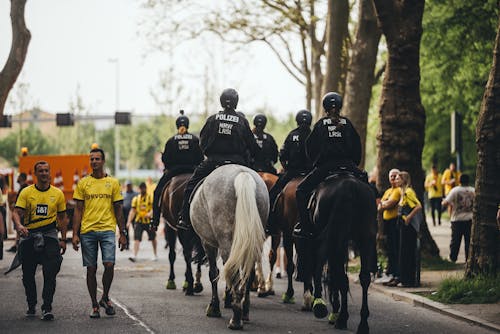 Fotobanka s bezplatnými fotkami na tému akcia, armáda, bezpečnosť