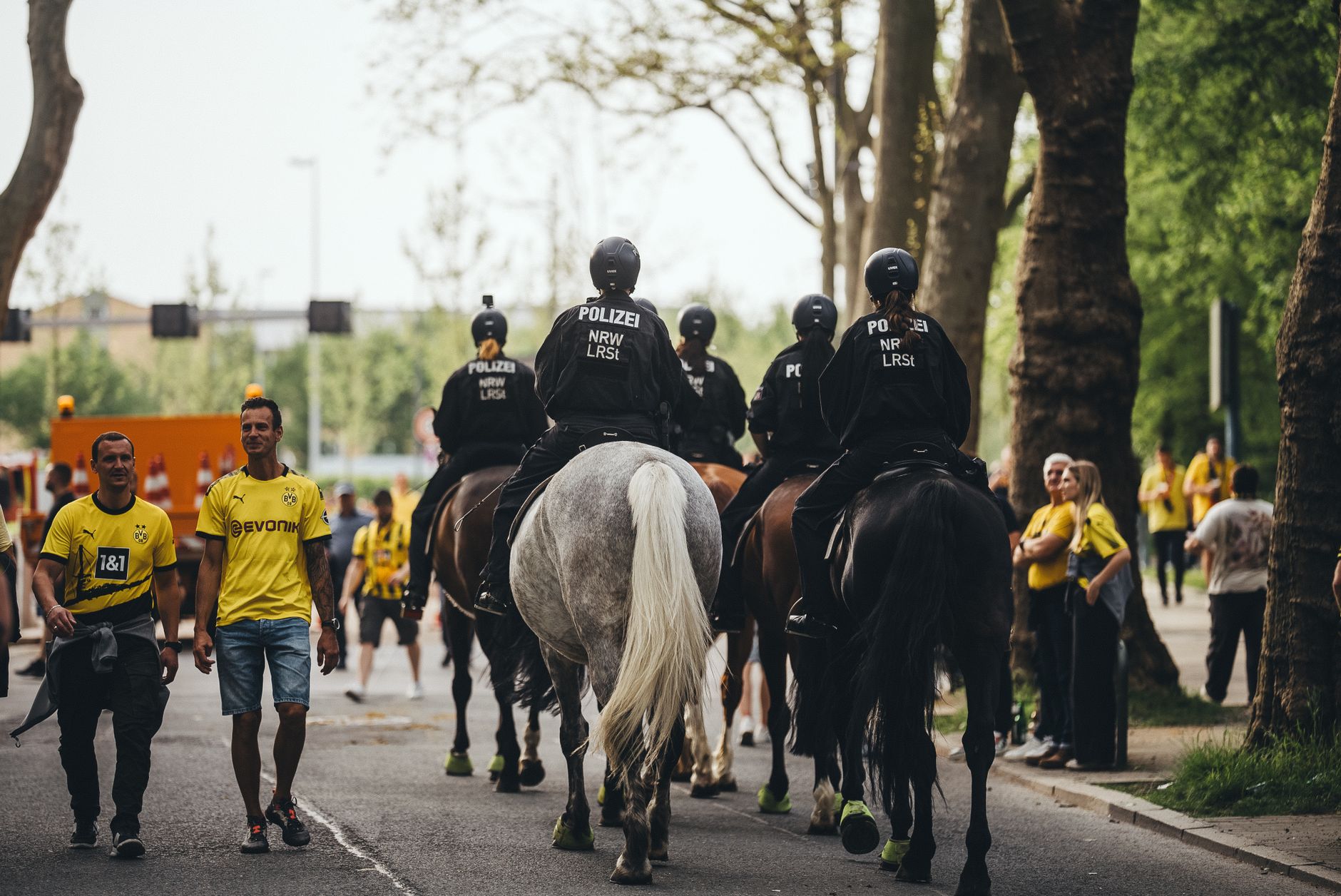 Anthony Modeste