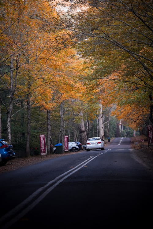 Immagine gratuita di atmosfera de outono, autunno, autunno estetico