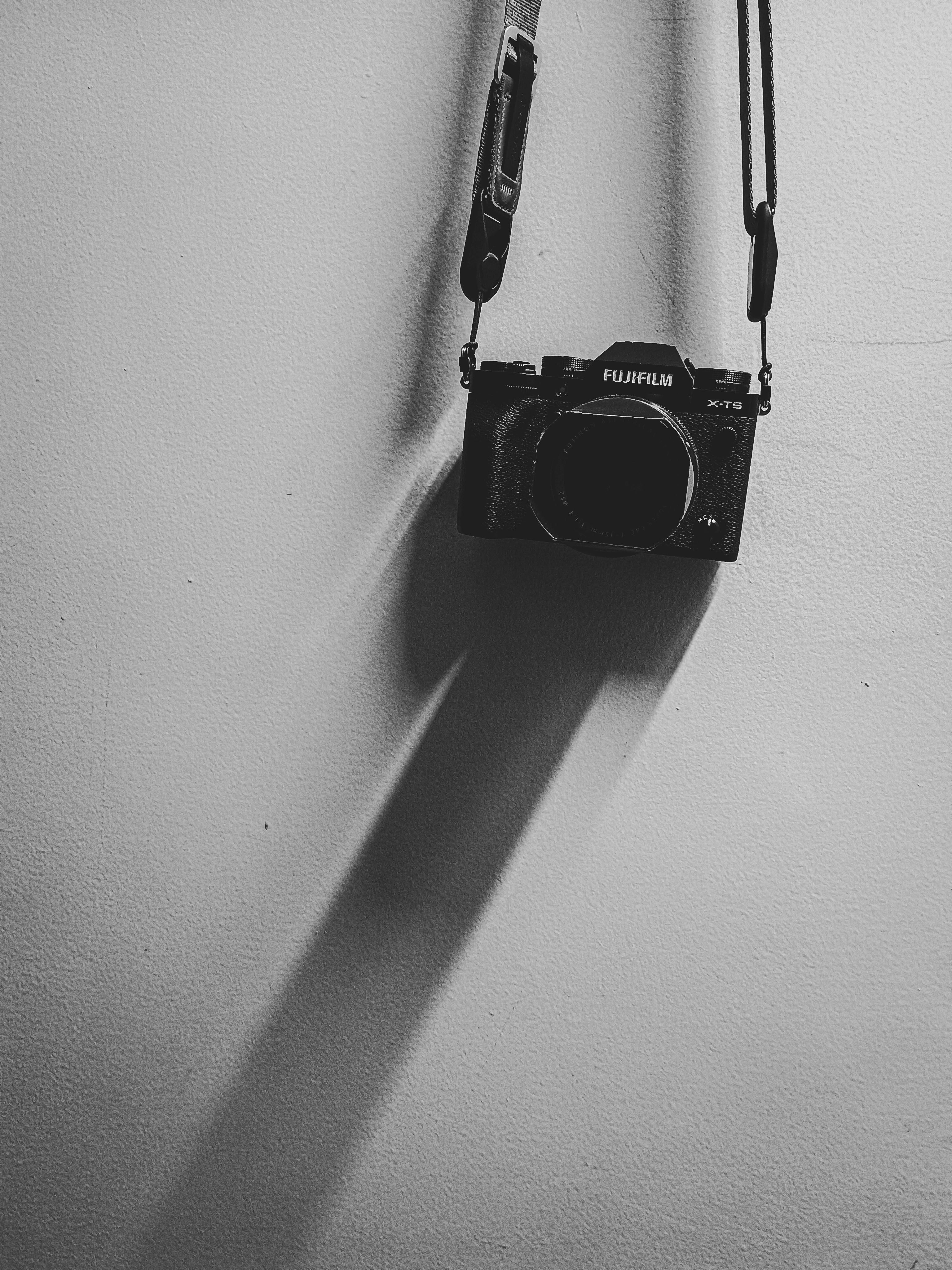 De franc Foto d'estoc gratuïta de ambientació interior, art fotogràfic, blanc i negre Foto d'estoc