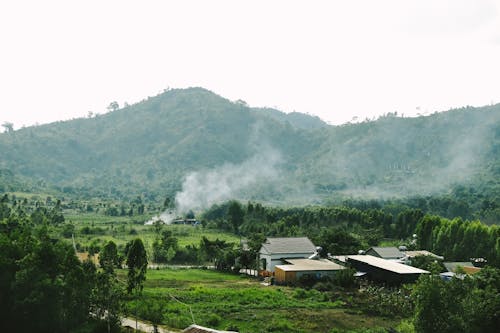 Photo De Maisons Près D'arbres