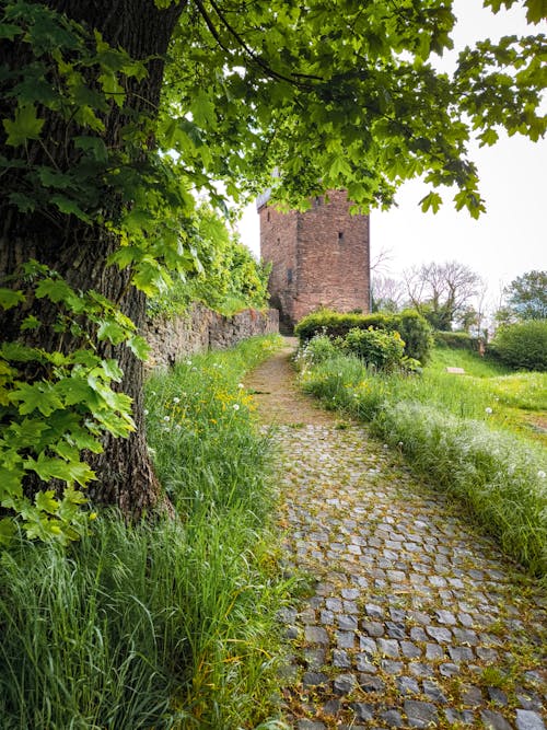A brick path leading to a castle