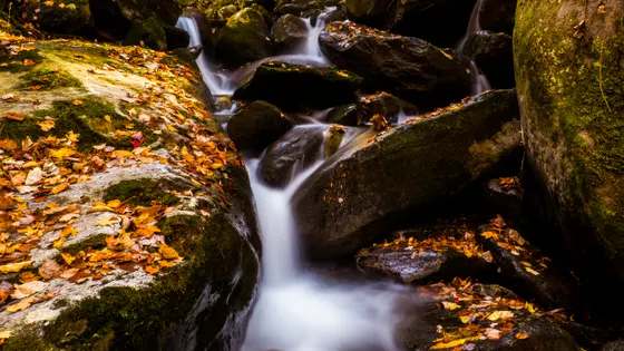 Grotto Falls with the trail passing behind the waterfall