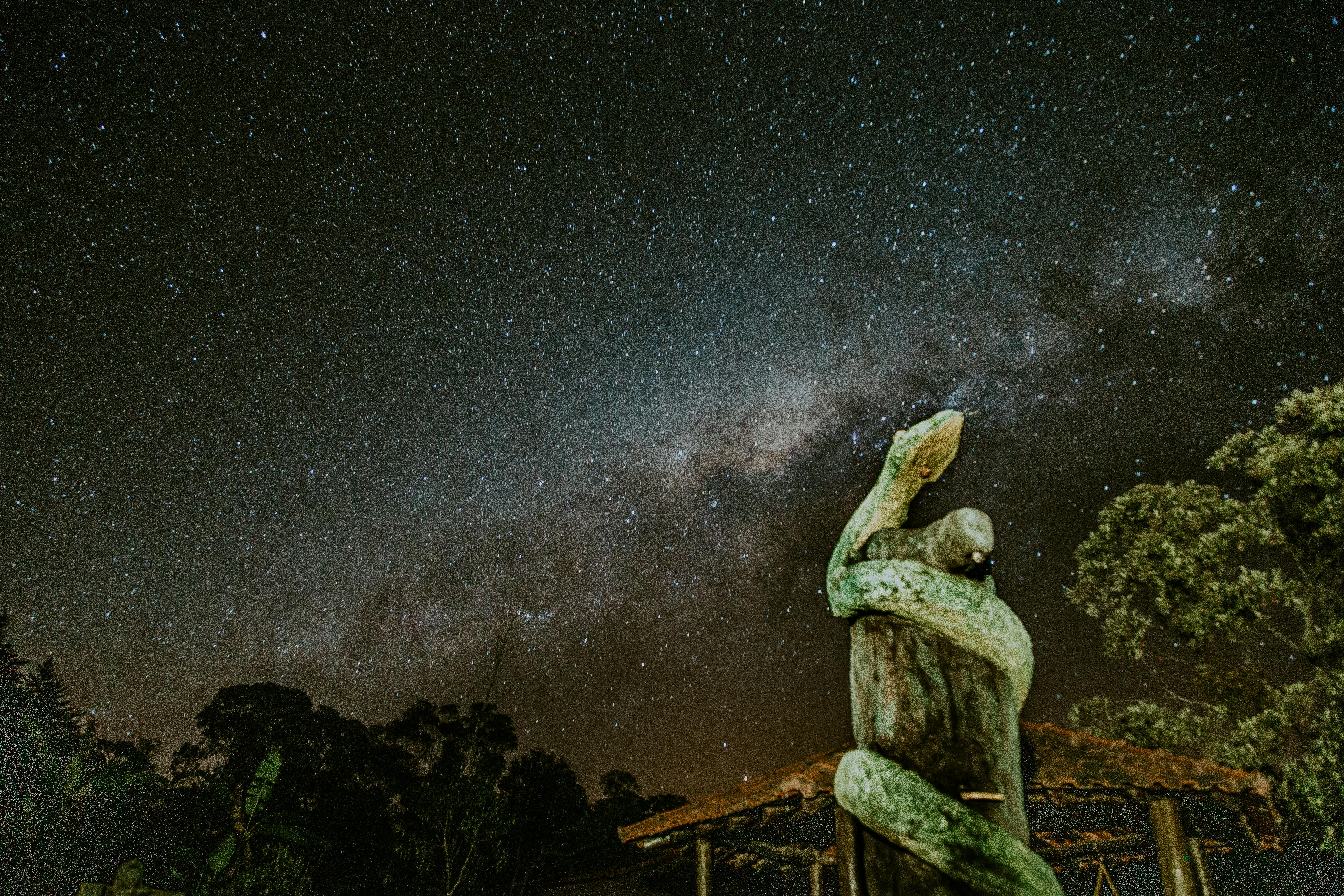 蛇雕塑上方，夜空中繁星点点