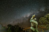 蛇雕塑上方，夜空中繁星点点