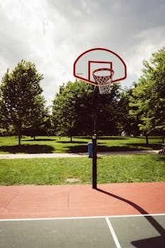 A clear view of a basketball hoop at an outdoor court with green trees and a sunny sky.