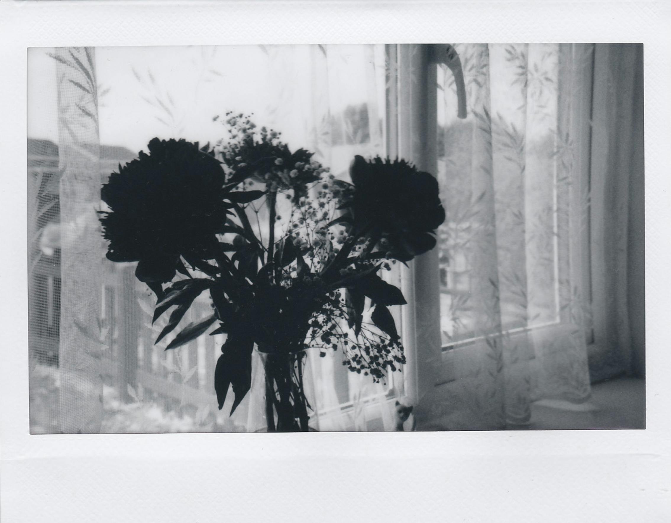 A bouquet of flowers in silhouette against a window, in black and white, creating a classic still life composition.