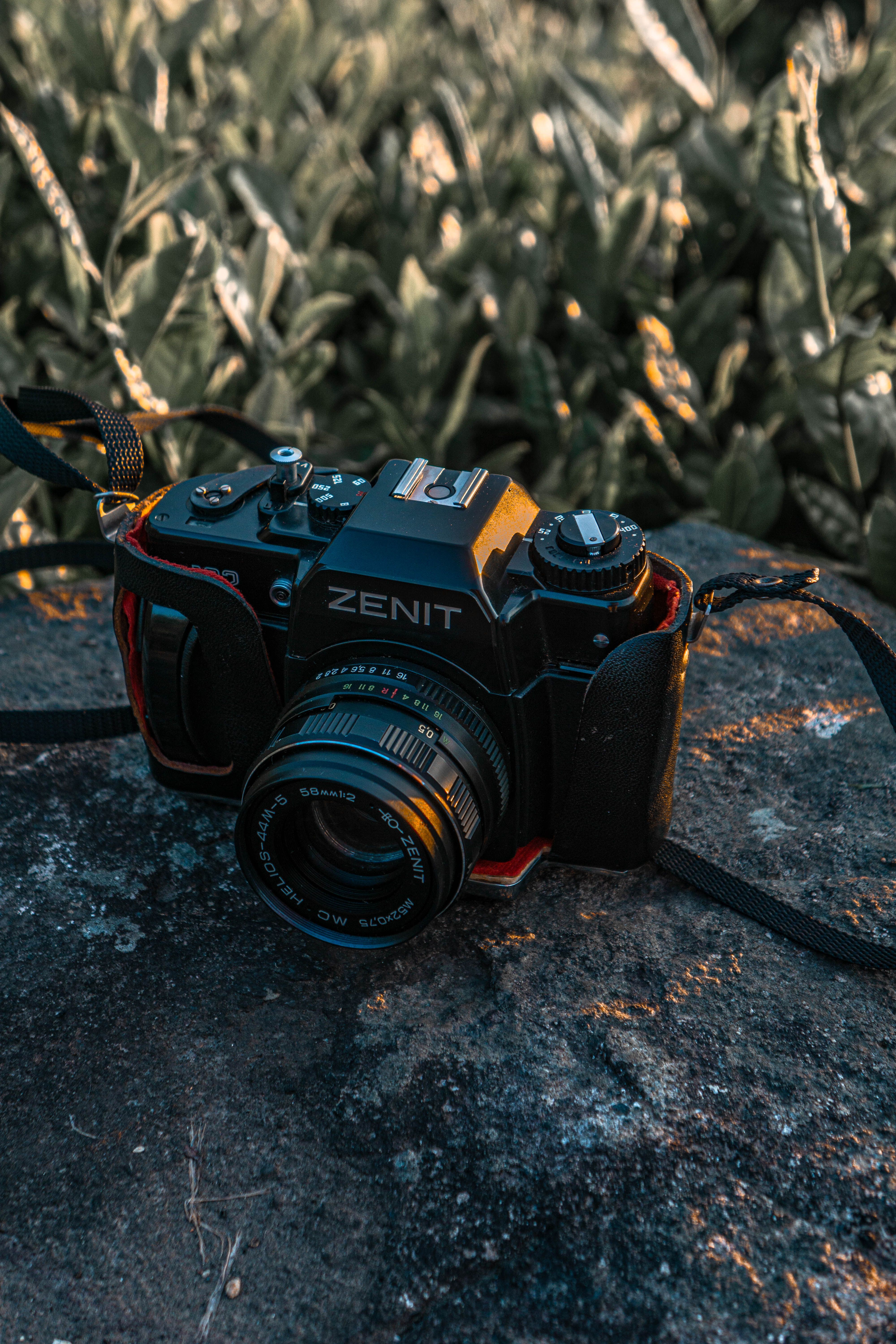 Close-up of a vintage Zenit camera resting on a rock outdoors with foliage in the background.