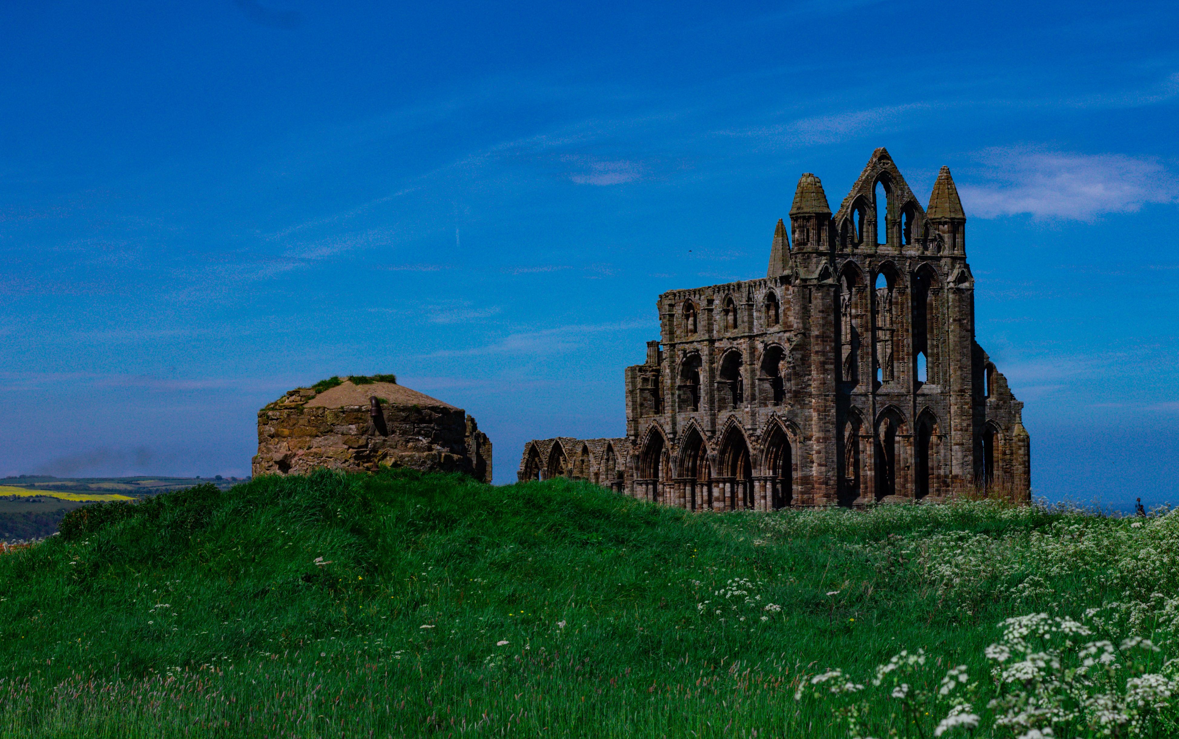 Ruined abbey arches in a wooded Yorkshire valley at dusk