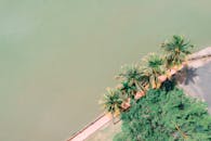 俯瞰热带海岸，水边两旁宁静地种植着棕榈树