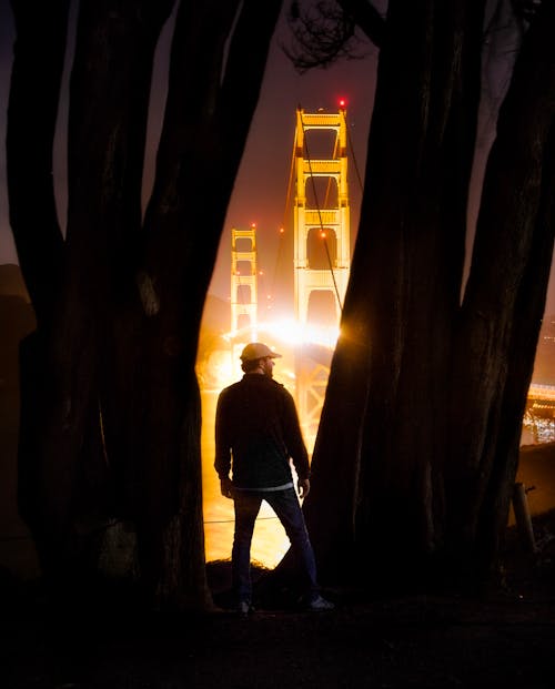 Man Near tree trunks