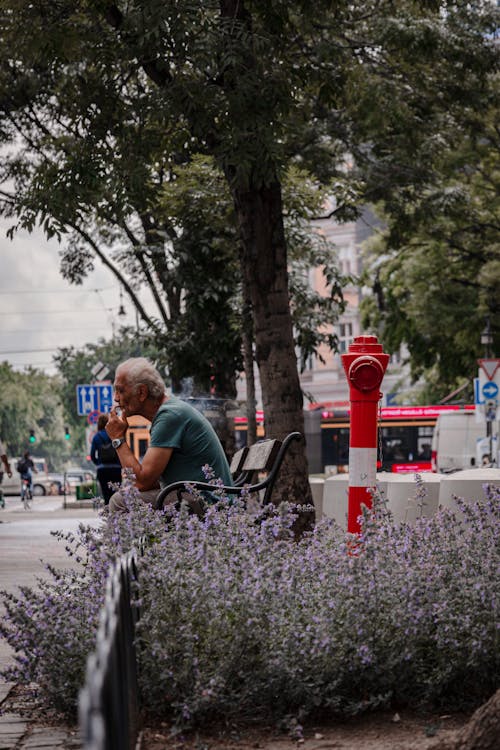 Darmowe zdjęcie z galerii z budapeszt, czerwony, drzewa