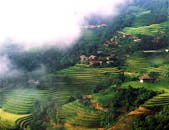 A view of a valley with rice terraces