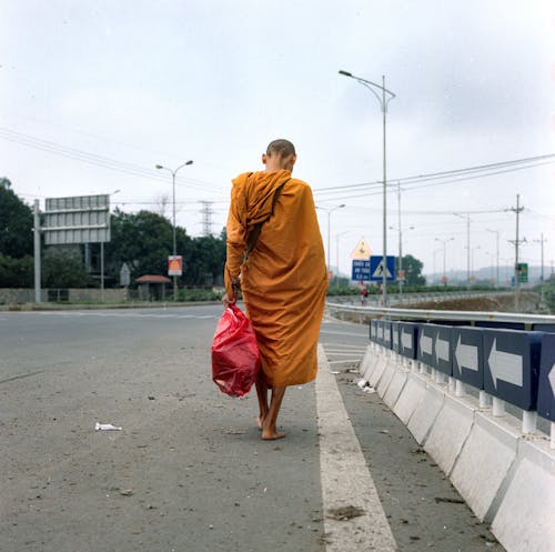 Бесплатное стоковое фото с будда, Взрослый, город