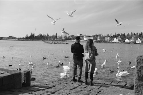 A couple standing on a pier looking at seagulls