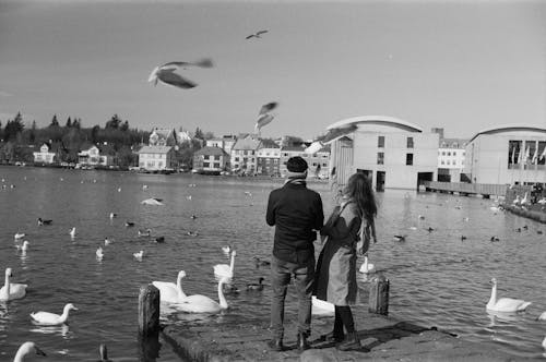 A couple standing on a dock with seagulls flying around them