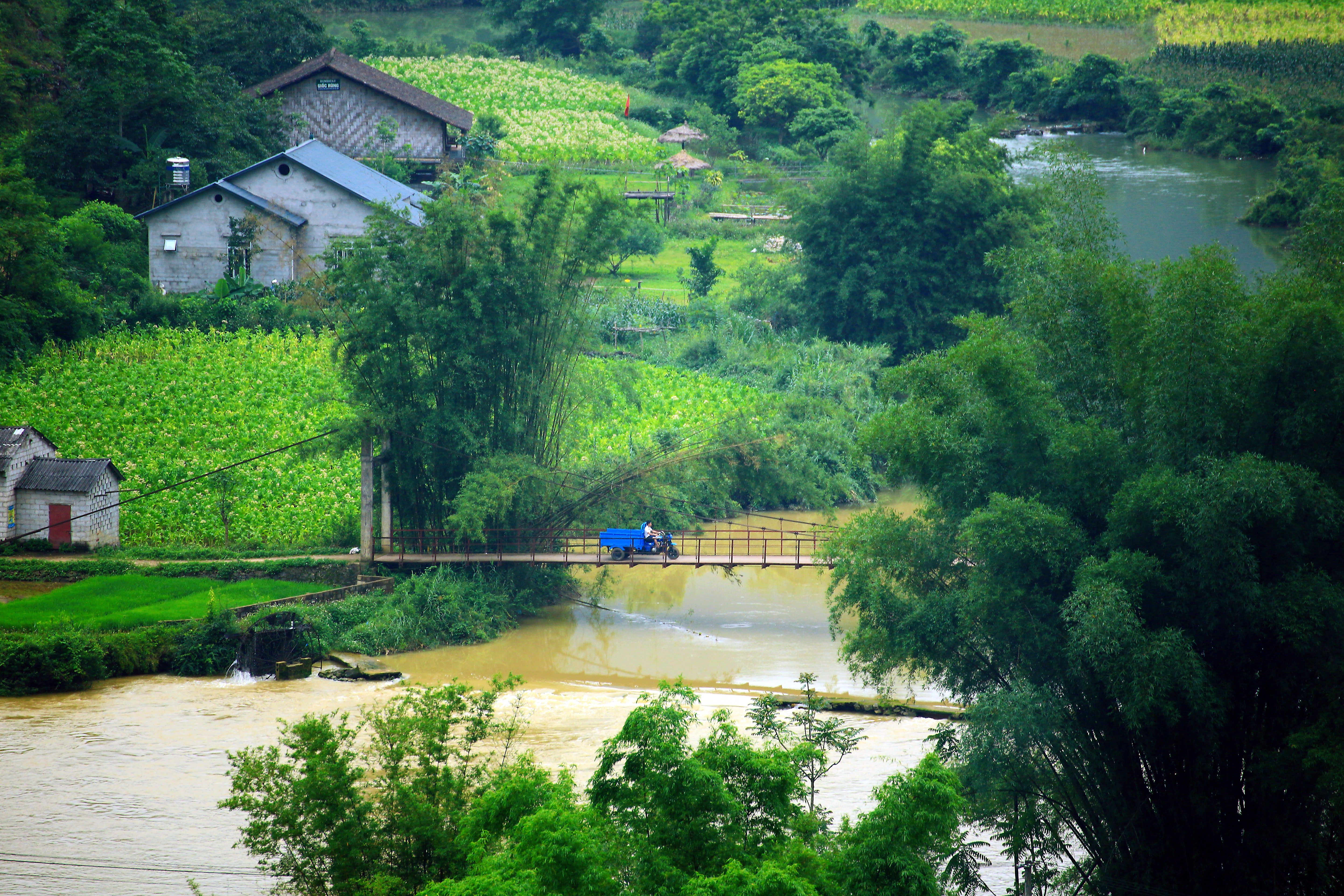 A small wooden bridge crosses a river in a rural area · Free Stock Photo