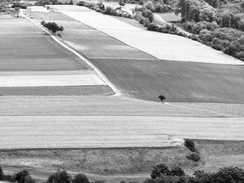 Gratis lagerfoto af agerjord, antenne, bakke