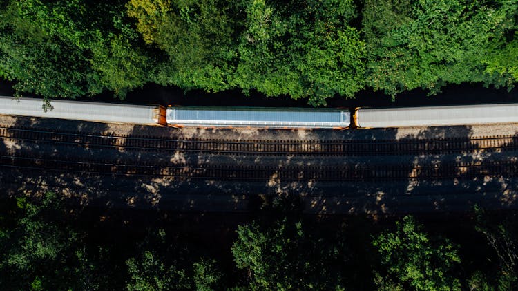 Top View Photo Of Train Surrounded By Trees