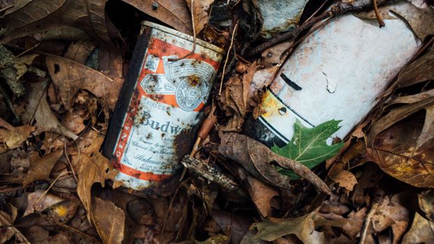Close-Up Photo of Rusty Budweiser Can
