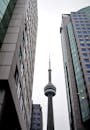 多伦多市中心的高层建筑群与加拿大国家电视塔构成的城市景观