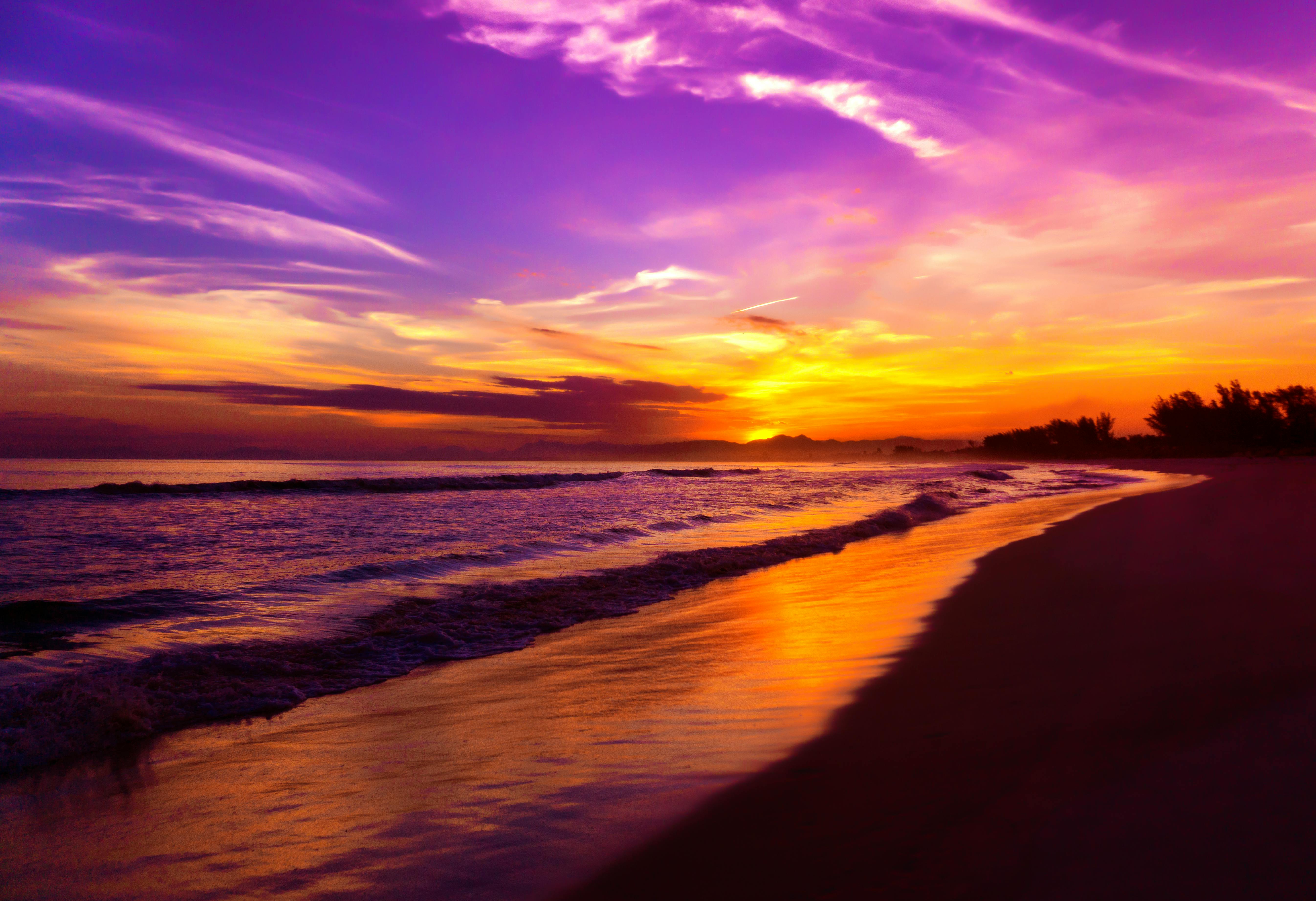 photo of beach during golden hour