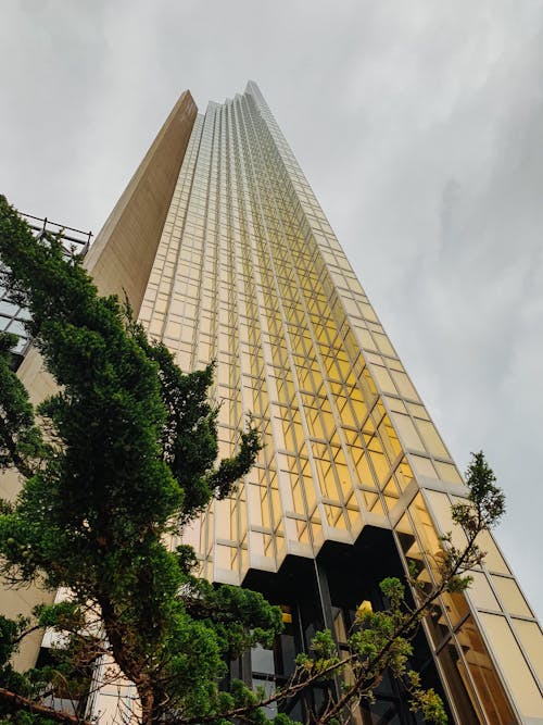 Low Angle Photography of Curtain Wall Building