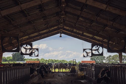 Základová fotografie zdarma na téma architektura, budova, cestování